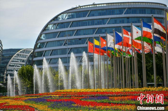 第五屆進(jìn)博會場館景觀裝飾全面定妝。　陳夢澤 攝