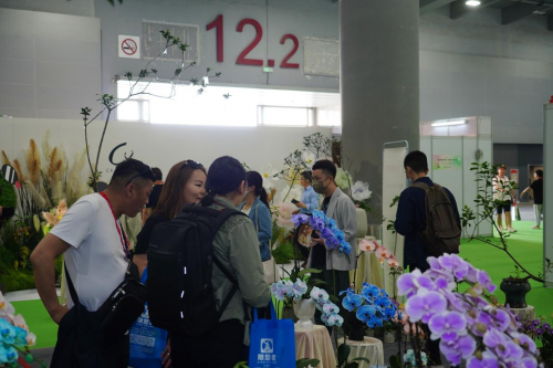 2024花城“新秀花事”亮點(diǎn)搶先看！和廣州國(guó)際花藝節(jié)一起解鎖“花經(jīng)濟(jì)”財(cái)富密碼(圖4)